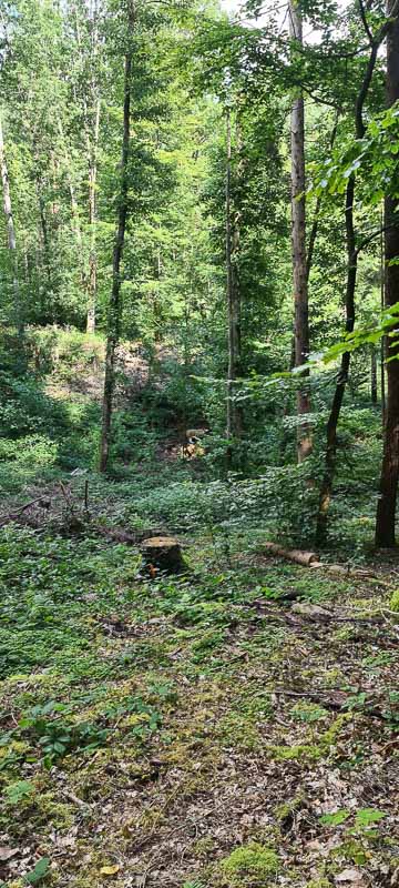 bogenschiessen 26Aug 0052-bogenschiessen