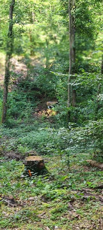 bogenschiessen 26Aug 0053-bogenschiessen