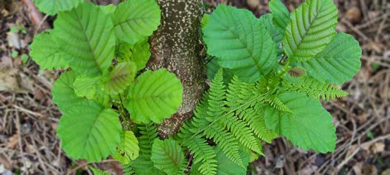bogenschiessen 26Aug 0054-bogenschiessen