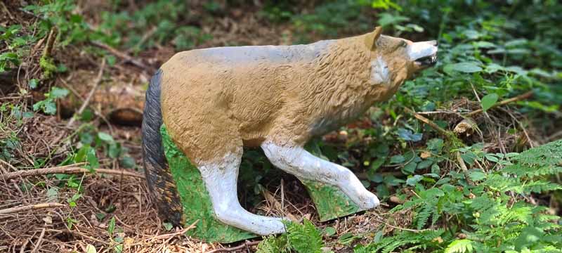 bogenschiessen 26Aug 0055-bogenschiessen