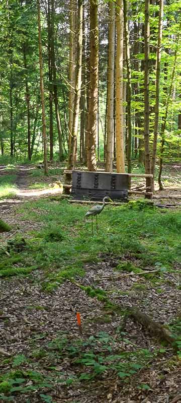 bogenschiessen 26Aug 0065-bogenschiessen