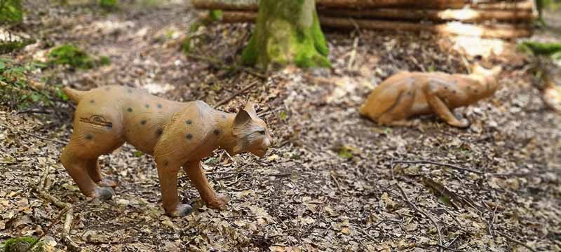 bogenschiessen 26Aug 0076-bogenschiessen