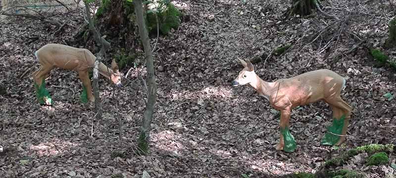 bogenschiessen 26Aug 0085-bogenschiessen