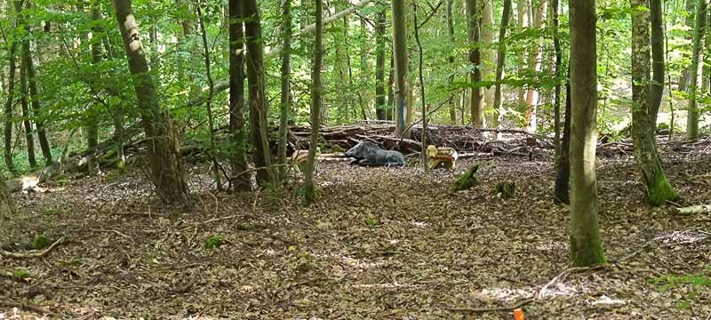 bogenschiessen 26Aug 0086-bogenschiessen