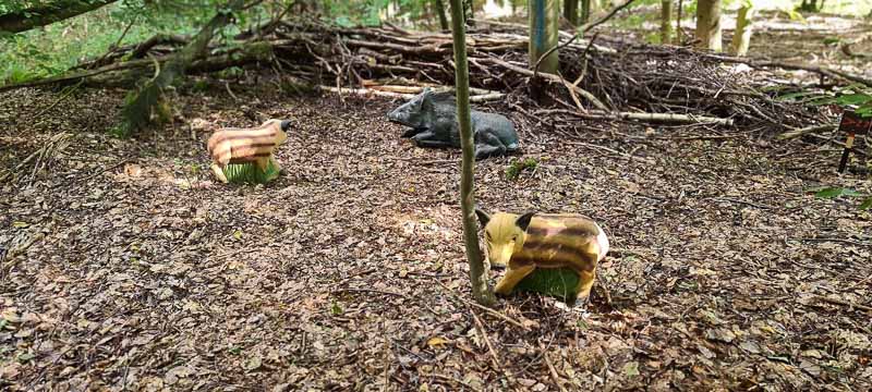 bogenschiessen 26Aug 0087-bogenschiessen