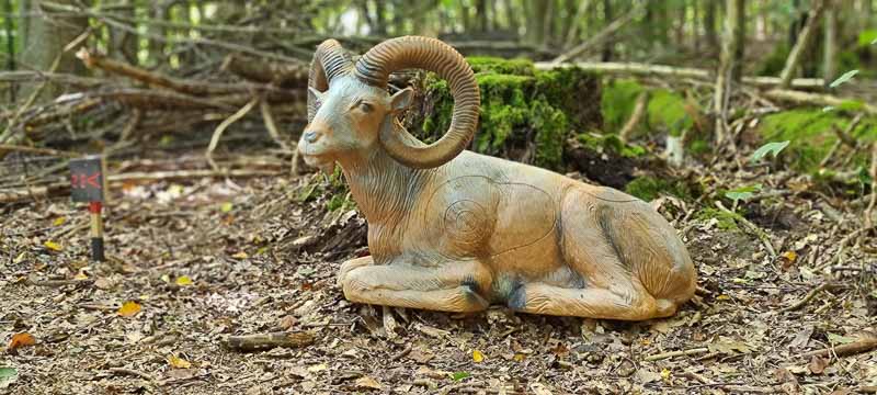 bogenschiessen 26Aug 0090-bogenschiessen