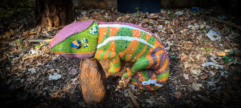 dornig2022 11-bogenschiessen