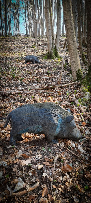 dornig2022 12-bogenschiessen