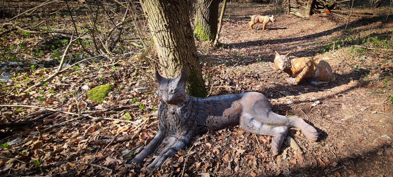 dornig2022 13-bogenschiessen