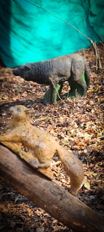 dornig2022 15-bogenschiessen