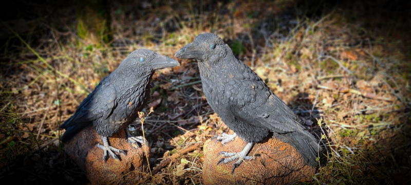 dornig2022 18-bogenschiessen