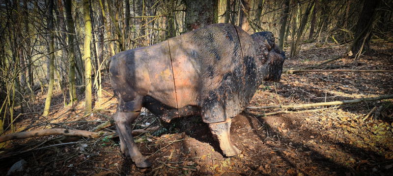 dornig2022 19-bogenschiessen