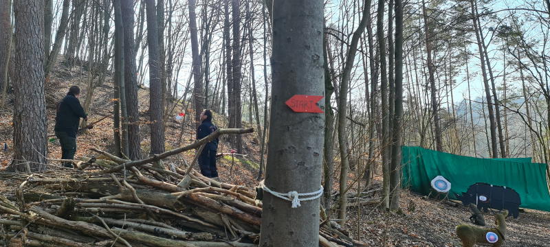 dornig2022 2-bogenschiessen