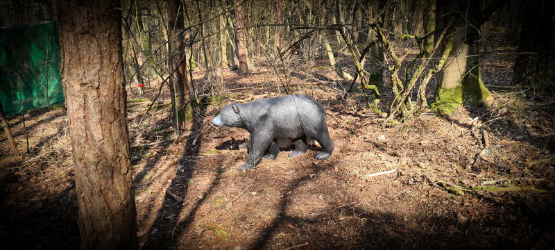 dornig2022 21-bogenschiessen