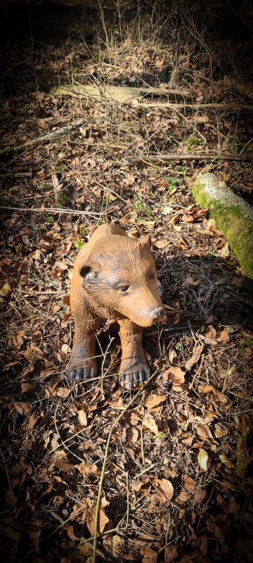 dornig2022 22-bogenschiessen