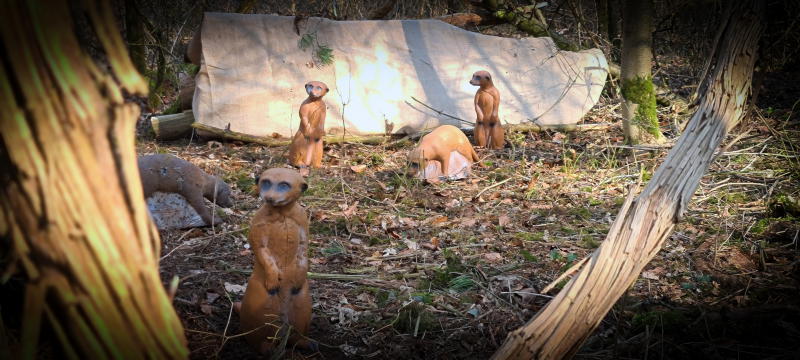 dornig2022 24-bogenschiessen