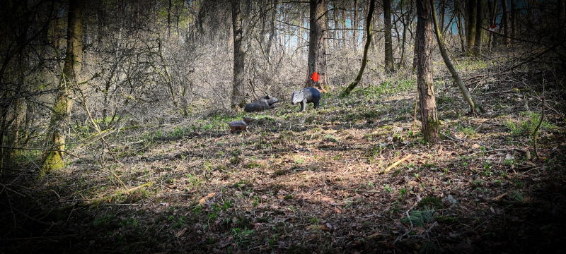 dornig2022 25-bogenschiessen