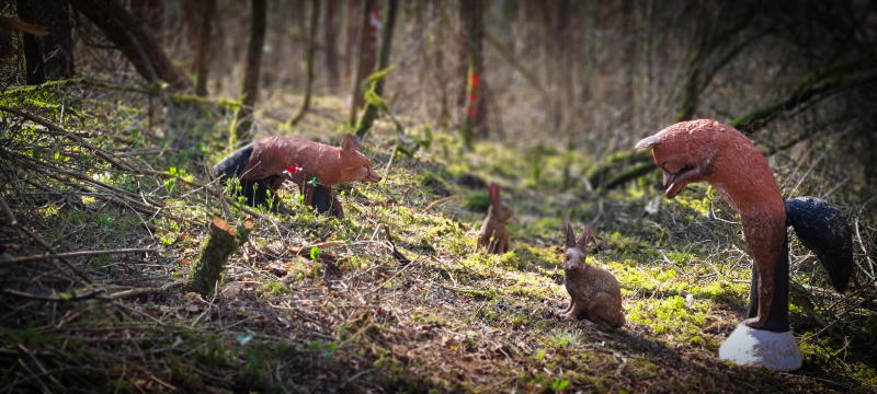 dornig2022 26-bogenschiessen
