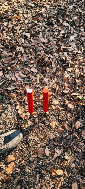 dornig2022 3-bogenschiessen