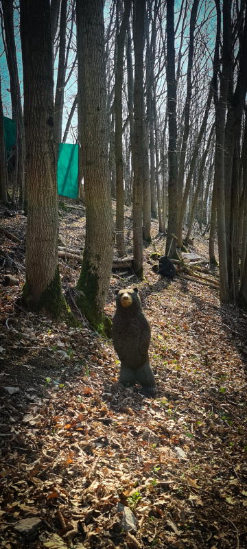 dornig2022 30-bogenschiessen