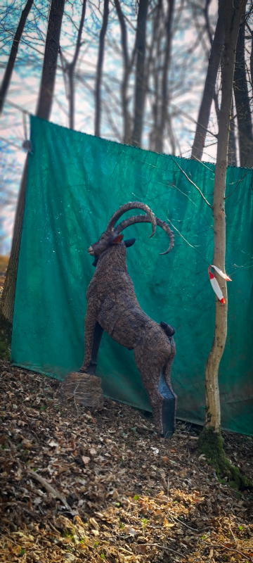 dornig2022 31-bogenschiessen