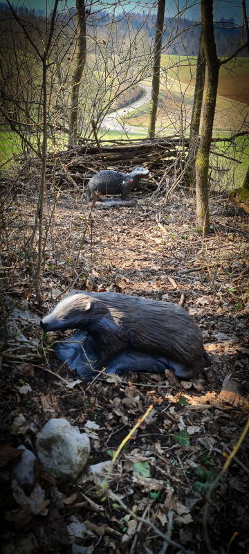 dornig2022 38-bogenschiessen