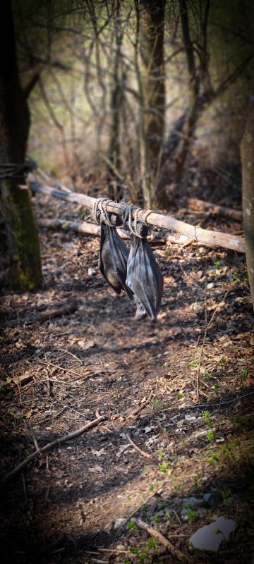 dornig2022 39-bogenschiessen