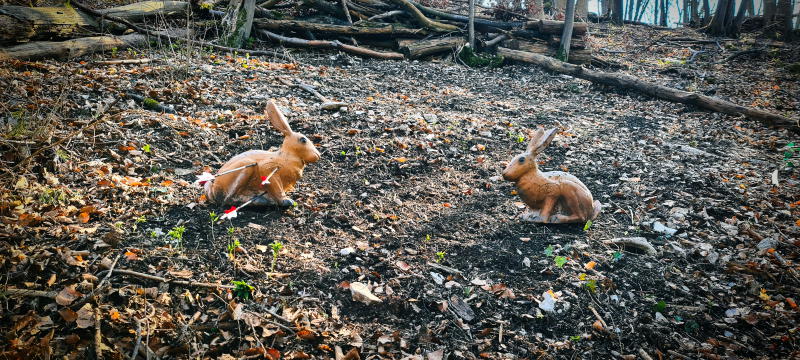 dornig2022 4-bogenschiessen