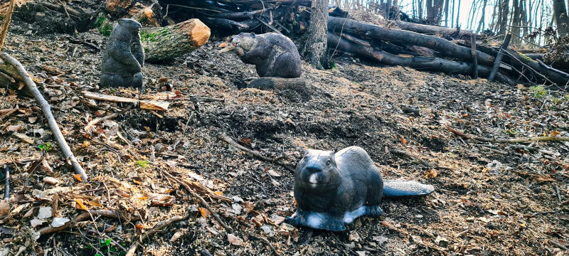 dornig2022 5-bogenschiessen