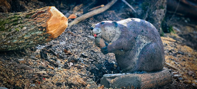 dornig2022 6-bogenschiessen