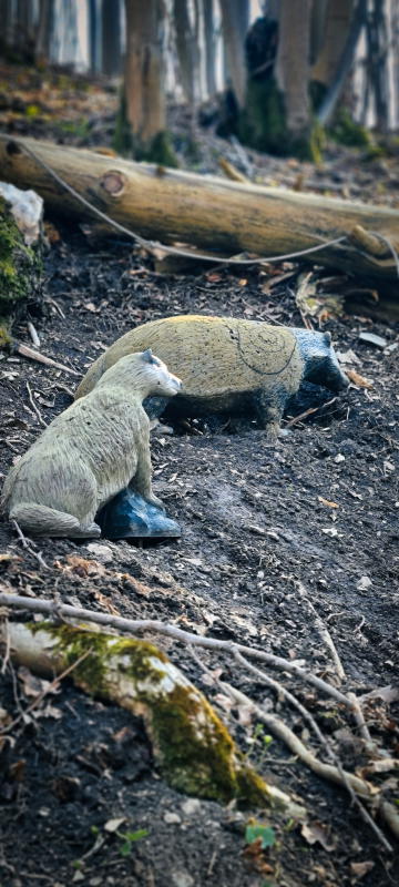 dornig2022 7-bogenschiessen