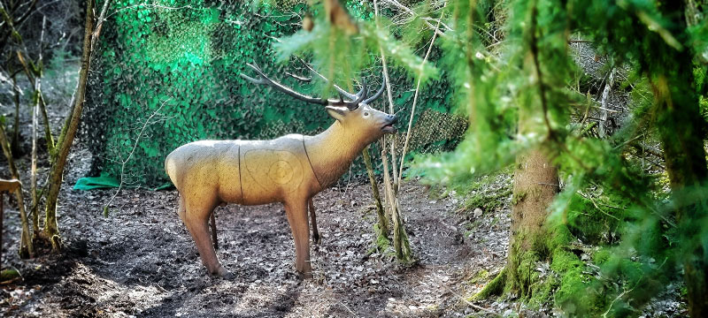 longlife3D 800 10-bogenschiessen