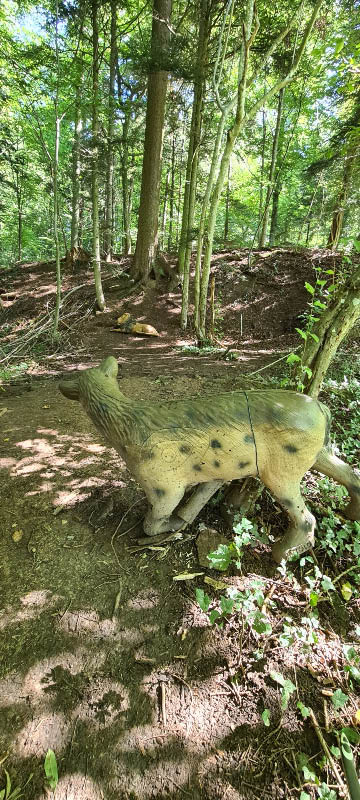 20210903 114456-bogenschiessen