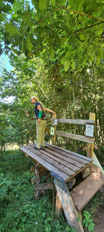 20210903 114800-bogenschiessen