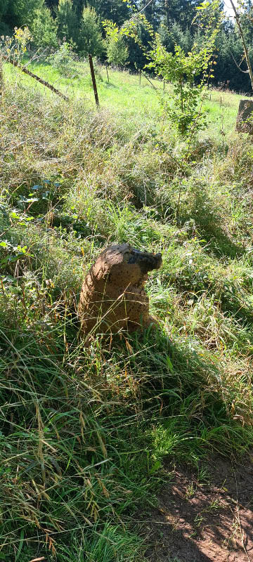 20210903 115357-bogenschiessen