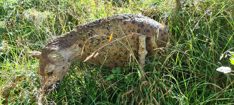 20210903 115422-bogenschiessen