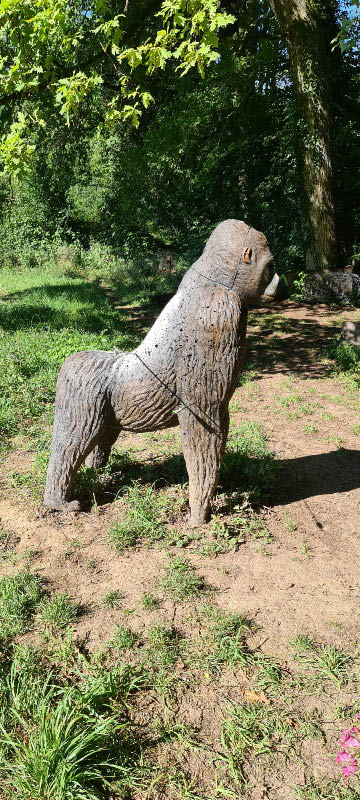 20210903 115841-bogenschiessen