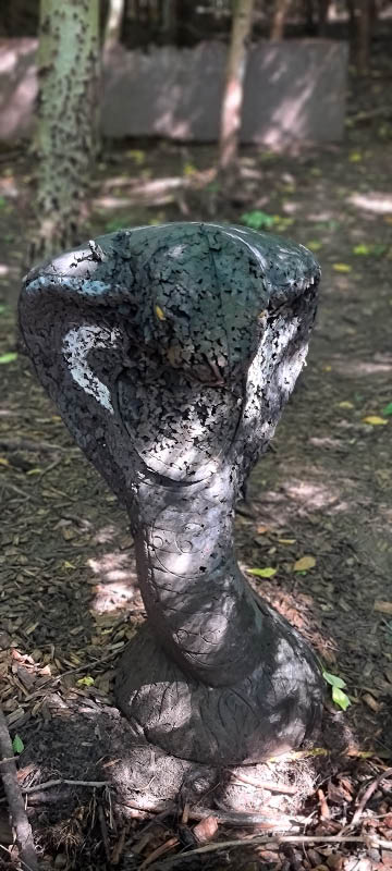 20210903 120631-bogenschiessen