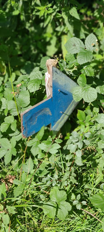 20210903 120738-bogenschiessen