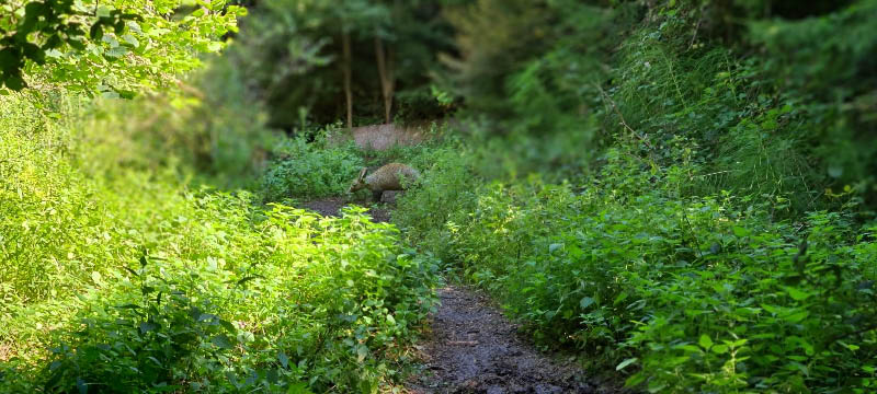 20210903 120810-bogenschiessen