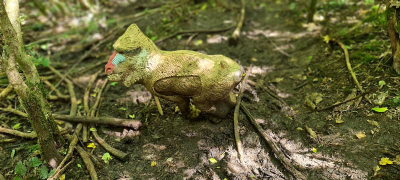 20210903 121332-bogenschiessen