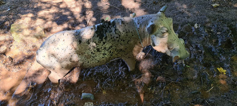 20210903 121904-bogenschiessen