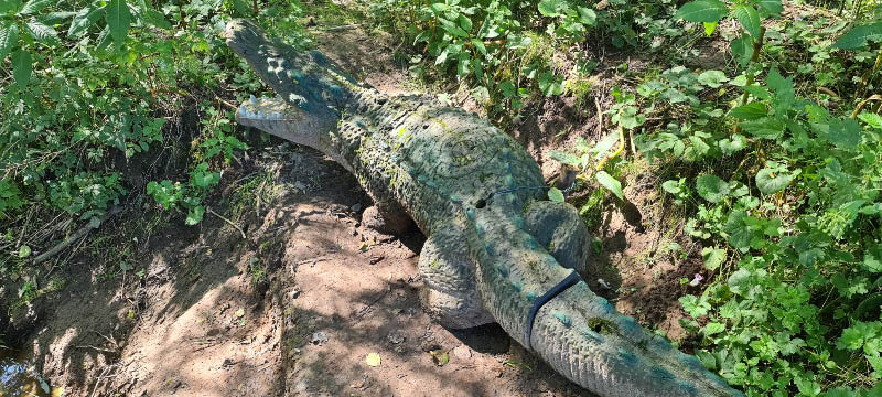 20210903 123020-bogenschiessen