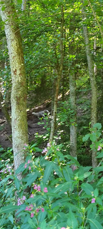 20210903 123951-bogenschiessen