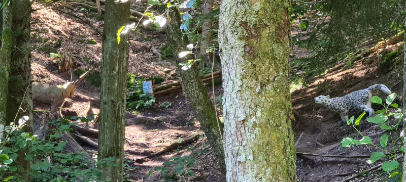 20210903 124014-bogenschiessen