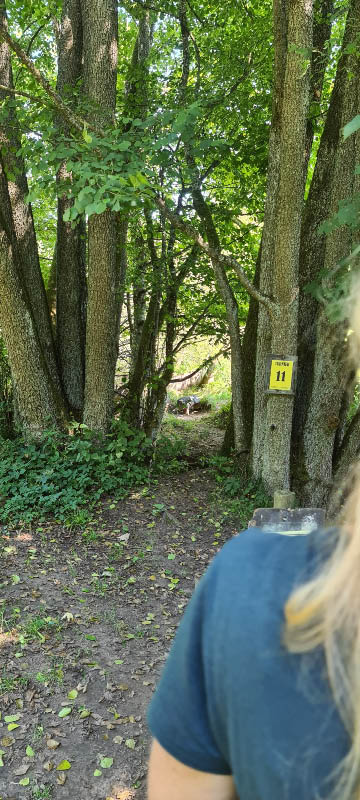 20210903 133300-bogenschiessen