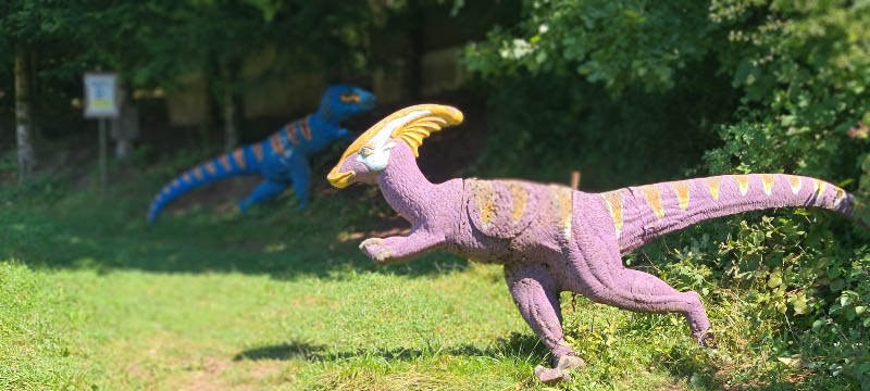 20210903 134734-bogenschiessen