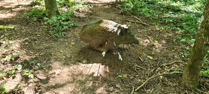 20210903 140203-bogenschiessen