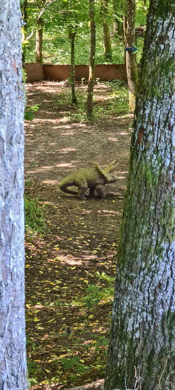20210903 140528-bogenschiessen
