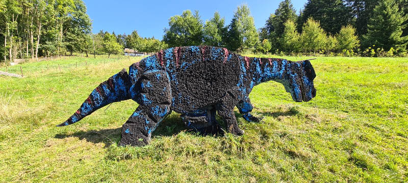 20210903 142159-bogenschiessen